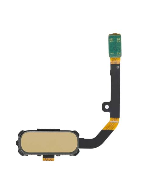 Galaxy S7 Active Home Button Flex Cable